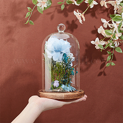 Glass Dome Cover&nbsp;AJEW-WH0270-426