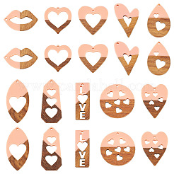 20Pcs 10 Styles Resin and Walnut Pendants&nbsp;WOOD-TA0002-73A