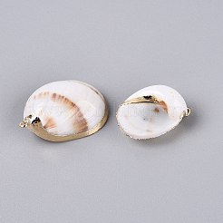 Electroplate Natural Sea Shell Pendants&nbsp;SSHEL-Q100-04KCG