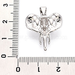 Brass Pendants&nbsp;KK-N268-58P