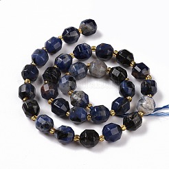 Natural Sodalite Beads Strands with Seed Beads&nbsp;G-G990-E01