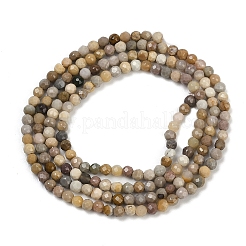 Natural Alashan Agate Beads Strands&nbsp;G-C181-B05-01