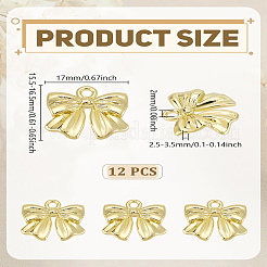 12pcs Alloy Pendants&nbsp;FIND-LP0005-02G
