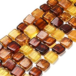 Natural Amber Beads Strands&nbsp;G-C260-A01-02