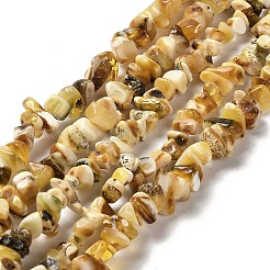 天然琥珀ビーズ連売り  チップ  8~11x7~11x4~6mm  穴：0.6mm  約81~100個/連  13.78~14.17インチ（35~36cm）&nbsp;G-L095-N01-02
