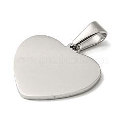 Tarnish Resistant 304 Stainless Steel Pendants&nbsp;STAS-I135-12P