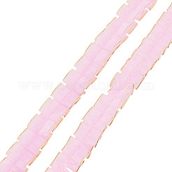 10mの二重層ポリエステルレースリボン  洋服アクセサリー用  ピンク  3/4インチ（20mm）  約10.94ヤード（10m）/セット&nbsp;OCOR-TA0004-14C
