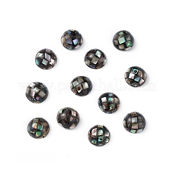 Synthetic Abalone Shell/Paua Shell Beads&nbsp;LS-SSHEL-K001-001C