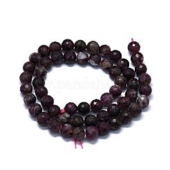 Natural Plum Blossom Tourmaline Beads Strands&nbsp;G-G927-22B