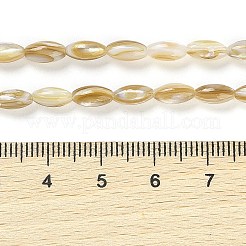 天然淡水シェルビーズ連売り  ライス  ゴールデンロッド  7.5~8x4mm  穴：0.5mm  約51個/連  15.55インチ（39.5cm）&nbsp;BSHE-G036-03