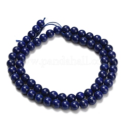 Natural Lapis Lazuli Beads Strands&nbsp;G-L642-B05-6mm