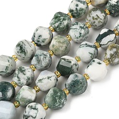 Natural Tree Agate Beads Strands&nbsp;G-U023-A15-01