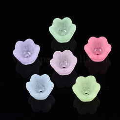 Transparent Acrylic Beads&nbsp;FACR-N005-001
