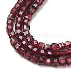 Grade A Natural Garnet Beads Strands&nbsp;G-P457-B01-39