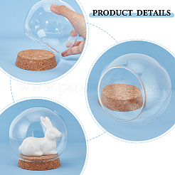 Round Glass Dome Cover&nbsp;DJEW-WH0043-33