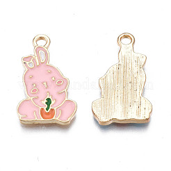 Alloy Enamel Pendants&nbsp;PALLOY-N170-031B-NR