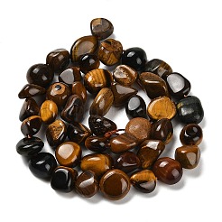 Natural Tiger Eye Beads Strands&nbsp;G-P497-01E-20
