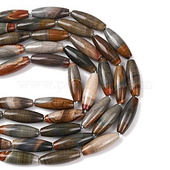 Natural America Picture Jasper Beads Strands&nbsp;G-L654-G03-01