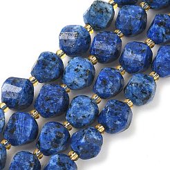 Dyed Natural Sesame Jasper/Kiwi Jasper Imitation Lapis Lazuli Beads Strands&nbsp;G-U023-A19-01