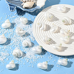 20Pcs Natural Spiral Shell Beads&nbsp;SSHEL-SC0001-56