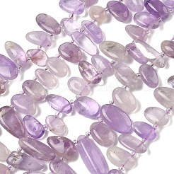 Natural Amethyst Beads Strands&nbsp;G-P604-A08-01