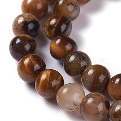 Natural Yellow Tiger Eye Beads Strands&nbsp;G-H238-8mm