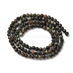 Natural Seraphinite Beads Strands&nbsp;G-RM2025-A42-3mm