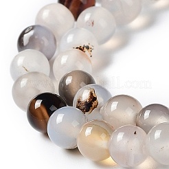 Natural Dendritic Agate Beads Strands&nbsp;G-D845-04-8mm