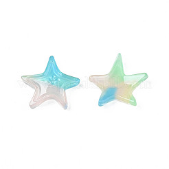 オペークセルロースアセテート（レジン）カボション  ヒトデ  ミックスカラー  19.5x20.5x4mm&nbsp;KY-N018-06