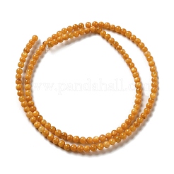 天然淡水シェルビーズ連売り  ラウンド  染め  ゴールデンロッド  4mm  穴：0.5mm  約124~132個/連  14.96''（38センチメートル）&nbsp;SHEL-H003-03E