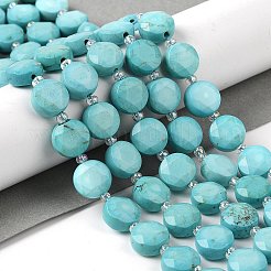 Natural Howlite Bead Strands&nbsp;G-C116-A08-01
