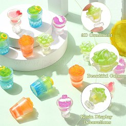 30Pcs 5 Styles Resin Display Decorations&nbsp;DJEW-CJ0001-15