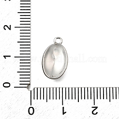 304 Stainless Steel Charms&nbsp;STAS-Z163-15P