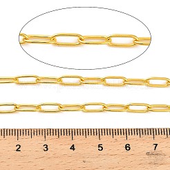 Stainless Steel Oval Paperclip Chains&nbsp;CHS-G040-01A-G