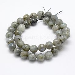 Natural Labradorite Beads Strands&nbsp;G-P322-28-10mm