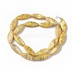 Drawbench Freshwater Shell Beads Strands&nbsp;SHEL-T014-008B-05