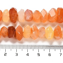 Natural Orange Botswana Agate Beads Strands&nbsp;G-N327-05-19
