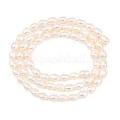 天然養殖淡水パールビーズ連売り  ライス  グレード5 A  ベージュ  4.3~4.6mm  穴：0.5mm  約69個/連  15.43''（39.2cm）〜15.51''（39.4cm）&nbsp;PEAR-D003-01D-05