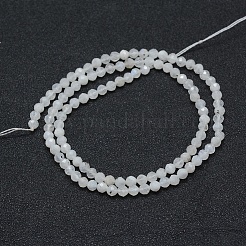Natural Rainbow Moonstone Beads Strands&nbsp;LS-G-E411-08-4mm