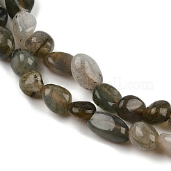 Natural Labradorite Beads Strands&nbsp;LS-G-C250-03