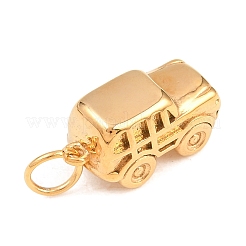 304 Stainless Steel Pendants&nbsp;STAS-H265-02G