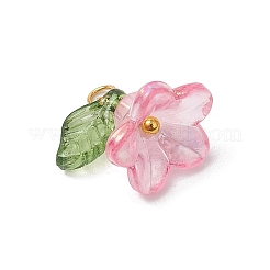 8Pcs Acrylic Charms&nbsp;PALLOY-JF03216