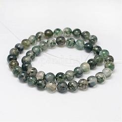 天然石モスアゲートビーズ連売り  ラウンド  シーグリーン  8mm  穴：1mm  約45個/連  15インチ&nbsp;G-F342-02-8mm