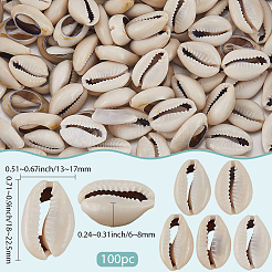 100Pcs Natural Cowrie Shell Beads&nbsp;BSHE-LT0001-08