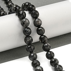 Natural Larvikite Beads Strands&nbsp;G-E571-A09-03