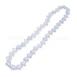 Transparent Electroplate Glass Beads Strands&nbsp;EGLA-C002-PL01