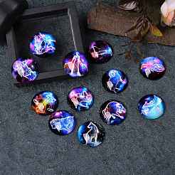 5Sets 5 Styles Glass Cabochons&nbsp;sgGGLA-SZ0001-20