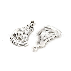 Tibetan Style Alloy Pendants&nbsp;FIND-M047-28AS