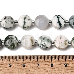 Natural Tree Agate Beads Strands&nbsp;G-D105-A05
