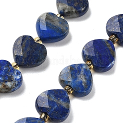 Natural Lapis Lazuli Beads Strands&nbsp;G-B044-B19-01